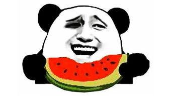 看搞笑吃瓜视频能缓解压力吗,轻松视频助你释放压力