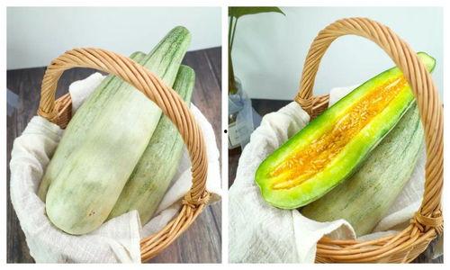 蜜瓜春天可以吃吗视频,春季美味蜜瓜的挑选与享用