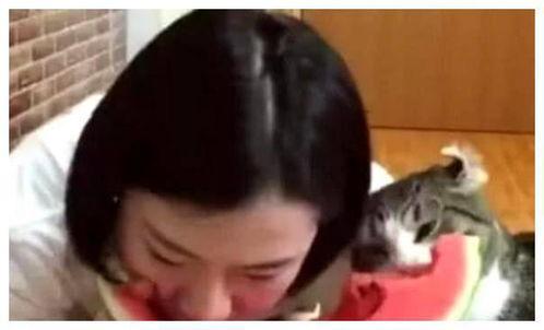 影子吃瓜视频在线观看,热门视频平台上的热门现象