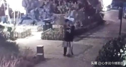 临淄吃瓜事件视频