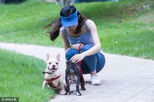 大学生遛狗吃瓜视频大全,大学生遛狗吃瓜欢乐时光大盘点