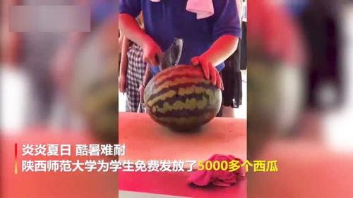 各大高校吃瓜资源视频