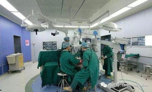 医院手术室吃瓜视频,揭秘医护人员工作间隙的趣味时光