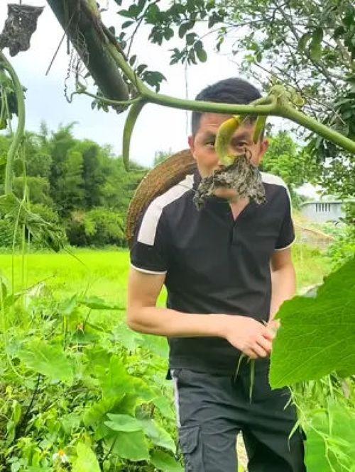 吃瓜搞笑大妈视频合集大全,吃瓜大妈搞笑视频合集大盘点