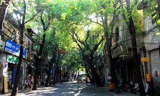 下庙七巷吃瓜事件视频,一场引发热议的网络狂欢