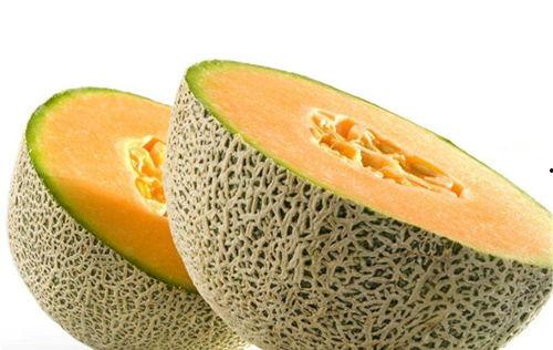 小夫吃高级哈密瓜视频