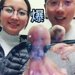 变形计被爆吃瓜视频在线观看,揭秘明星真实生活瞬间