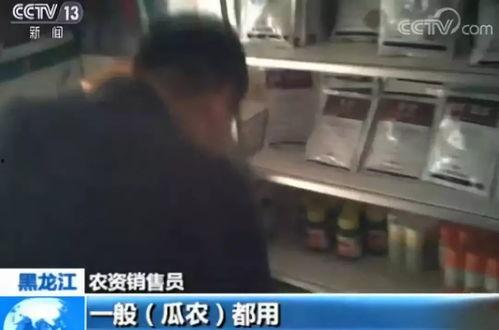 最近雄县吃瓜视频曝光,揭秘背后真相与网络舆论