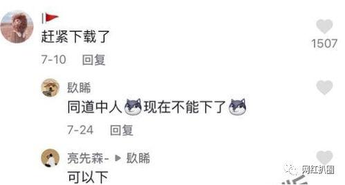 比奇堡名媛吃瓜视频,一场豪门盛宴背后的八卦风云