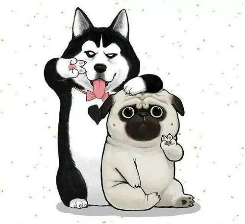 吃瓜狗头君拜年视频下载,欢乐新春，狗年大吉