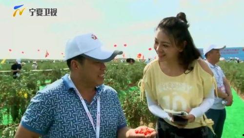 永福庄吃瓜事件真相视频,揭秘真相背后的惊人内幕