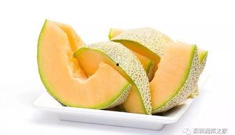 大鹅吃哈密瓜视频大全下载,趣味视频合集下载推荐