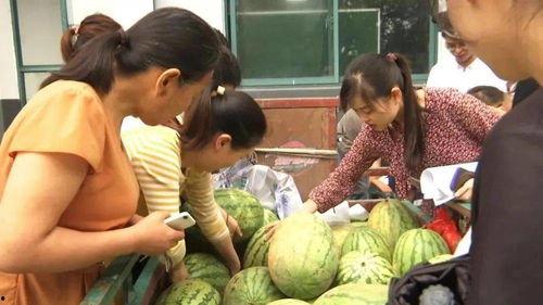 村里人吃瓜看热闹视频,村民围观吃瓜视频，热闹非凡