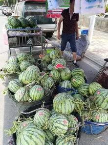 晋源吃瓜事件视频大全,视频大全揭秘网络热议瞬间