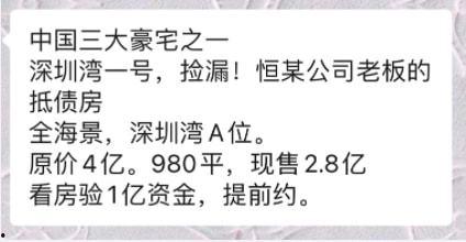 深圳湾1号吃瓜事件视频,一场网络热议的瓜田奇谈